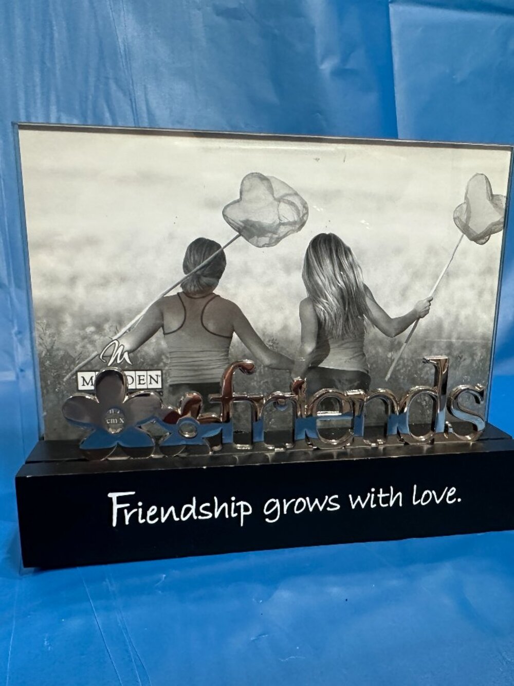 Friendship Desktop Expressions Picture Frame 4"x6" NWT